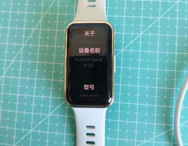 手环月亮图标显示说明