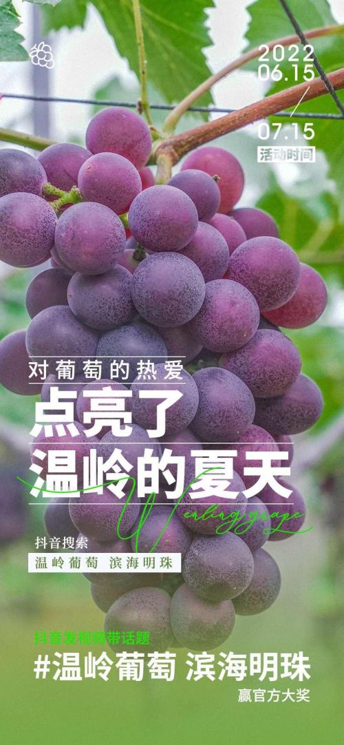 葡萄短视频的介绍