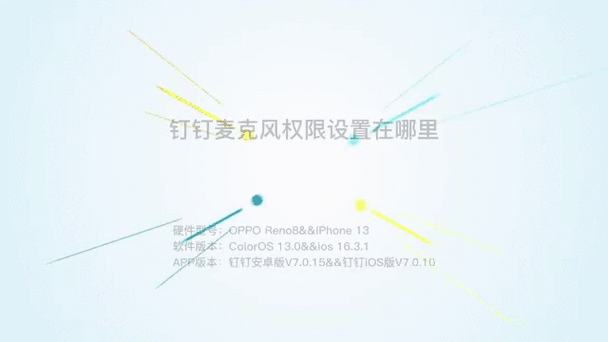 钉钉相机权限如何设置