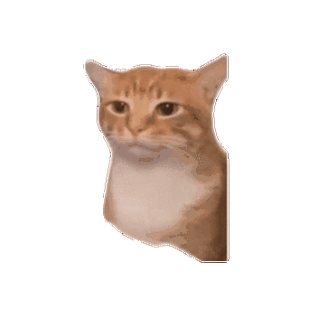 meme猫表情包GIF