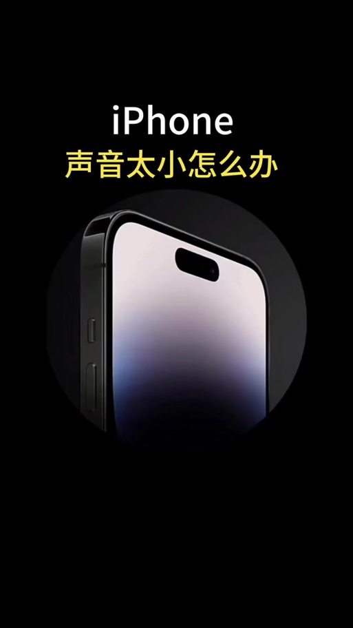 苹果11刷抖音没声音