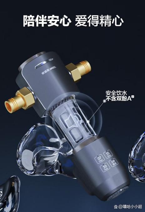 前置过滤器