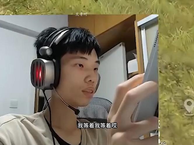 和平精英鲨鱼直播解说
