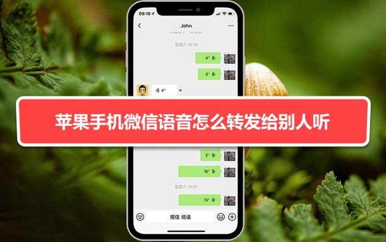 苹果手机发微信语音没声音