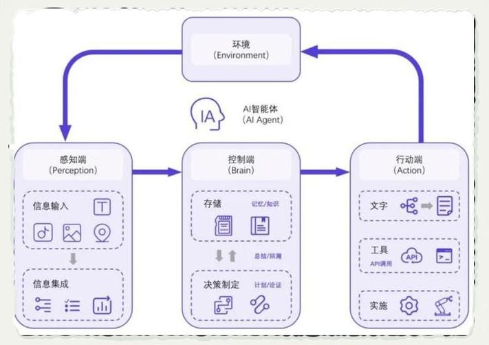 权威辅助器需要什么框架