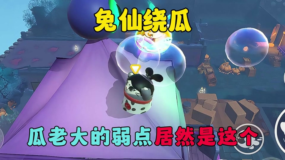 蛋仔兔仙溜南瓜