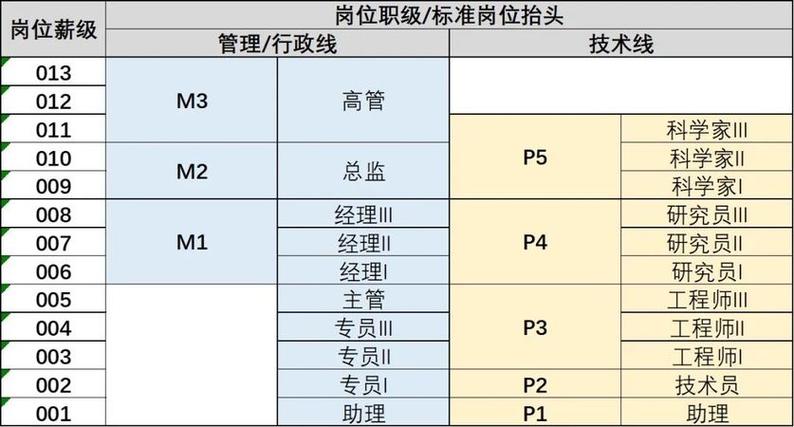 公司等级划分
