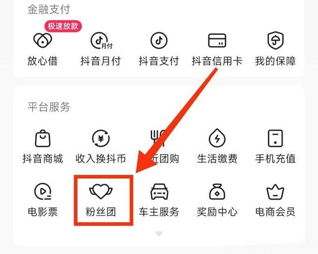 抖音粉丝应援任务怎么做