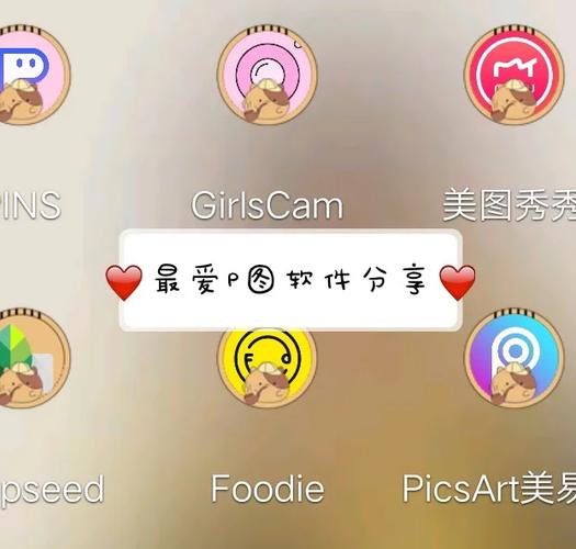 p图软件