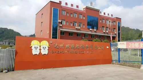 双胞胎集团招聘官网