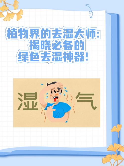 家用除湿机哪个牌子效果最好耐用