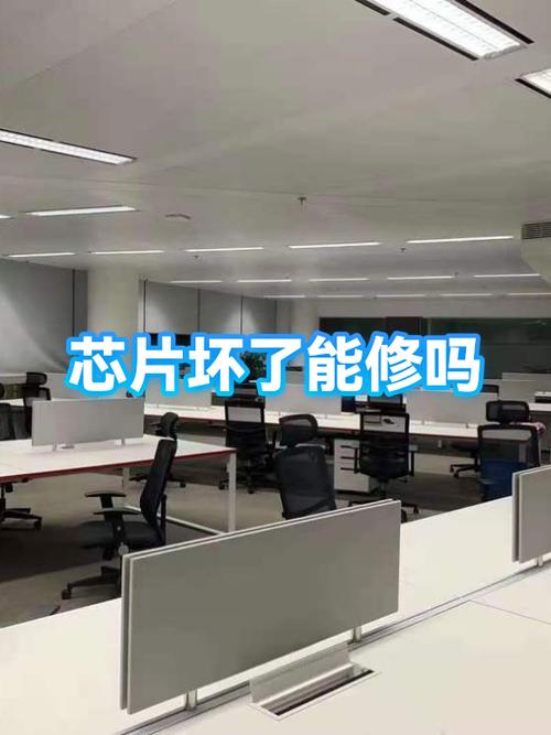 芯片坏了可以修复吗