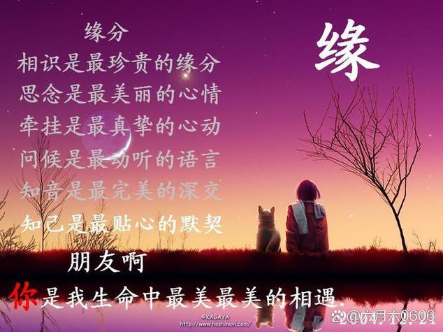 错过的缘分还会再回来吗