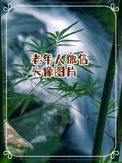 可以玩微信的老年机