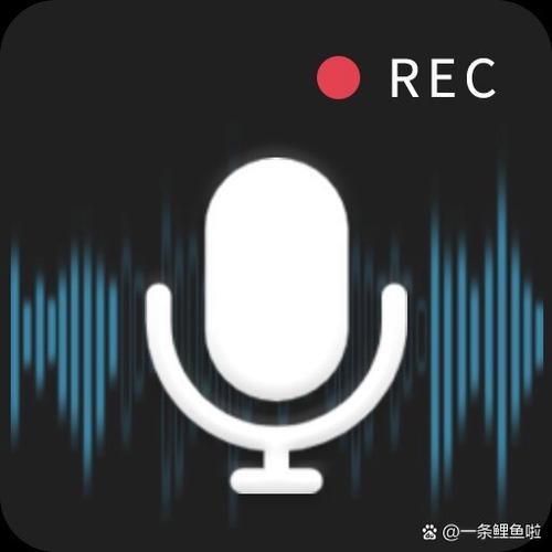 如何使用蓝牙耳机录音