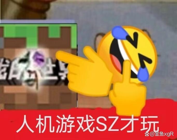 正版mc和盗版的区别