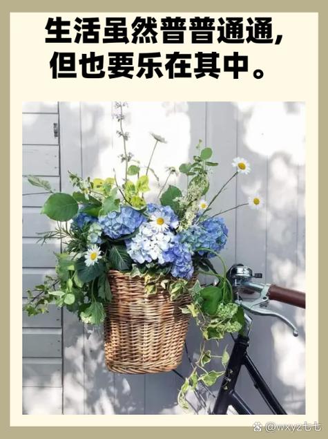 开心的高雅说法