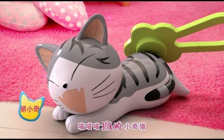 喵小奇是什么猫