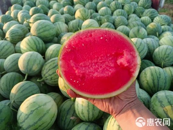 西瓜视频怎么免广告
