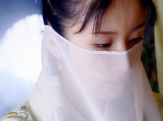铁心兰丫鬟小小扮演者