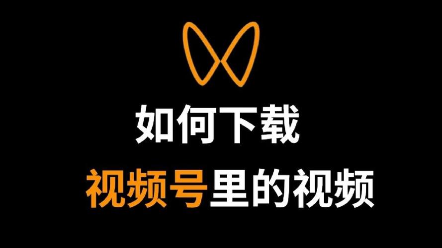 微信视频提取