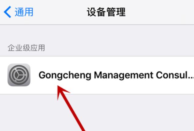 ipad可以安装外来软件吗