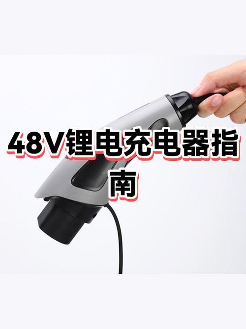 电动车锂电充电器哪个牌子好