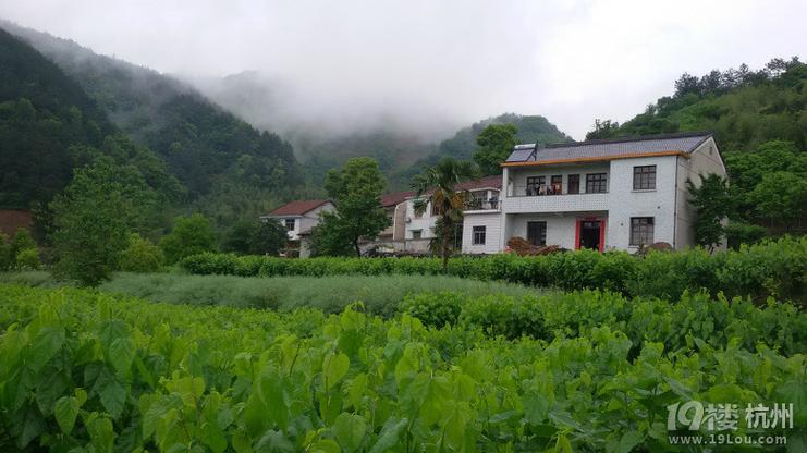 回到山村任逍遥