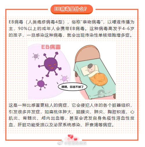 eb病毒感染率