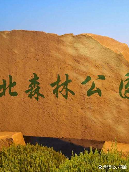 去辽宁阜新怎么走