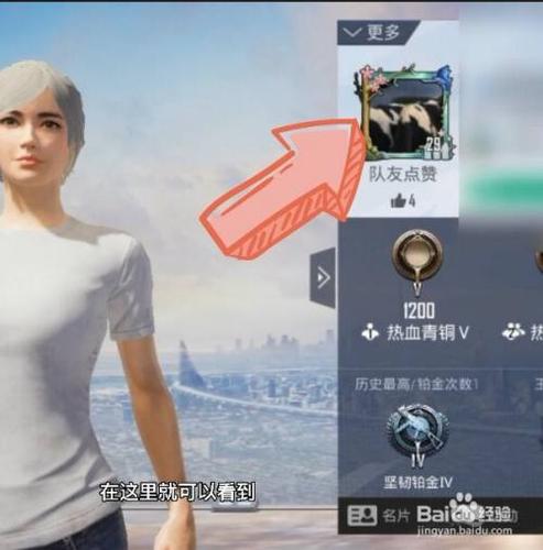 和平精英修改头像在哪里修改