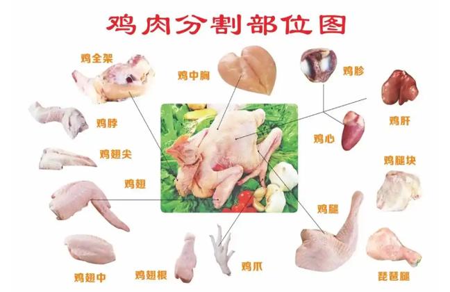 鸡各个部位名称图片