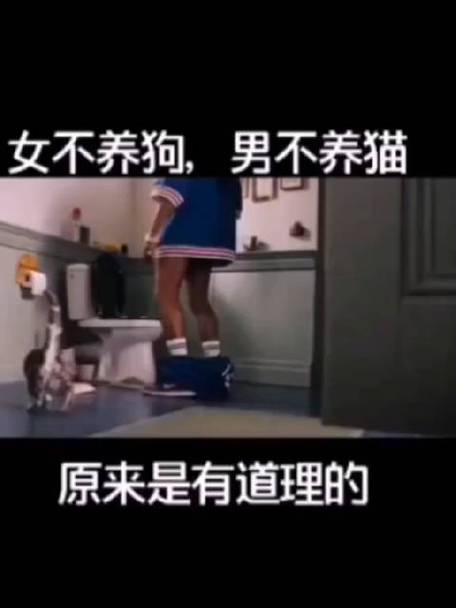 嫁人不嫁养猫男原因