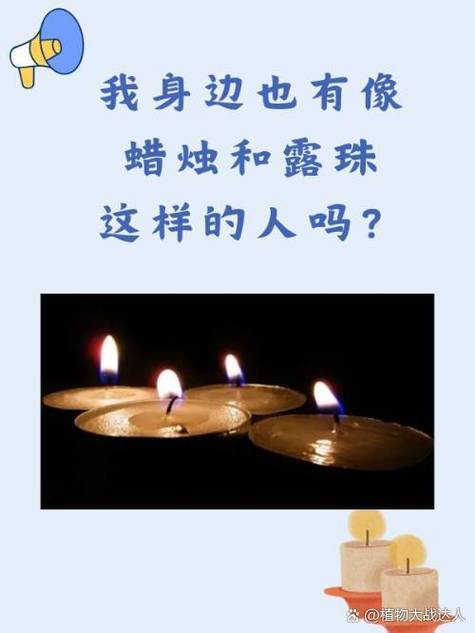 蜡烛比喻什么人
