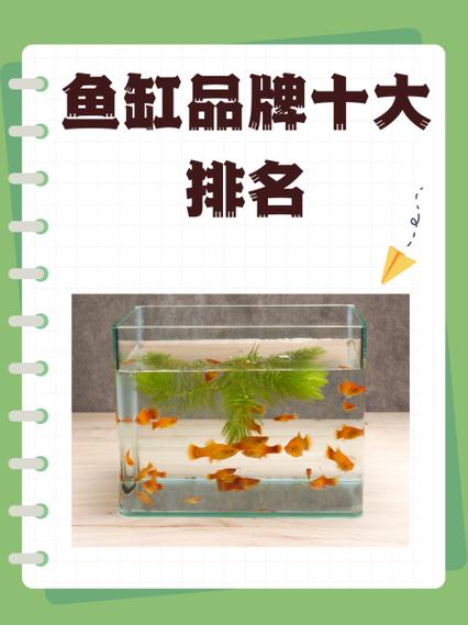 鱼缸哪个牌子质量好