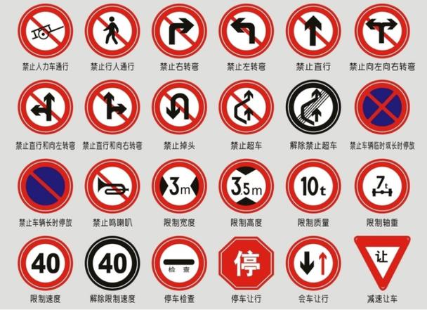 科目一100个图片