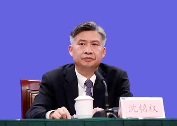 沈铭权个人简历