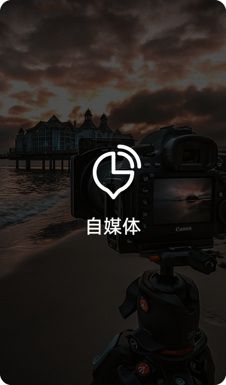 硬柿子音频转换器