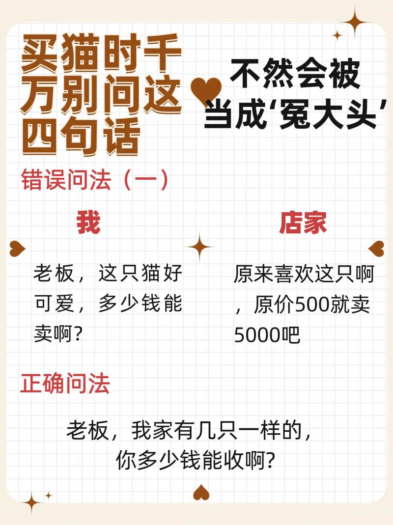 自家卖猫广告词