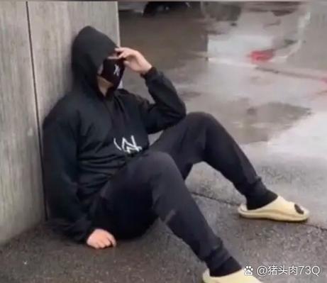 嘉豪表情包