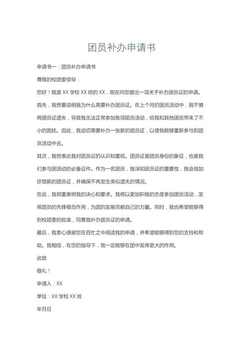 补交团费说明书