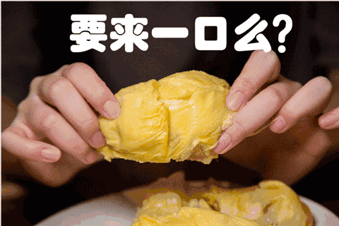 最近火的榴莲梗是什么