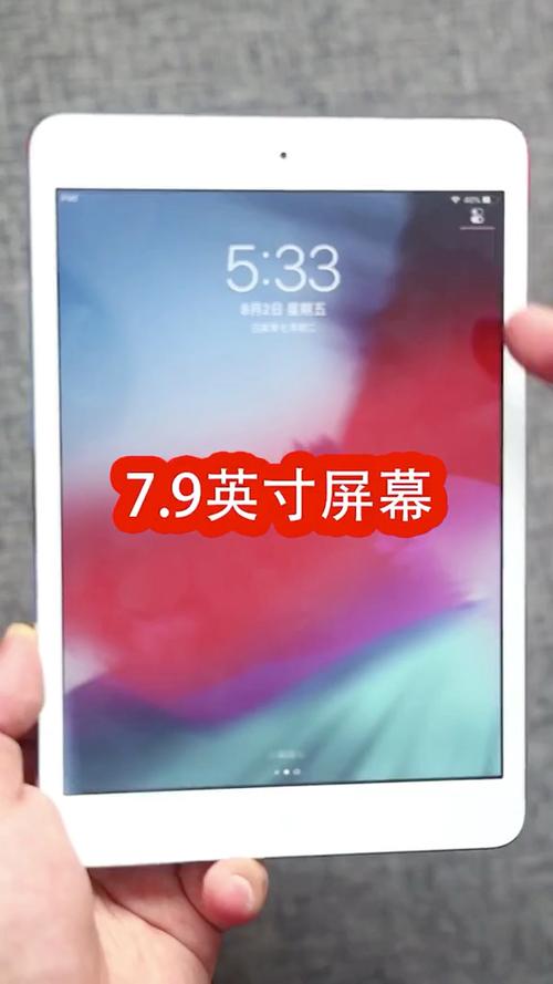 7.9英寸屏幕参照物