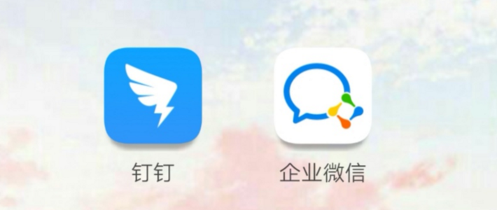 钉钉好友能看到企业吗