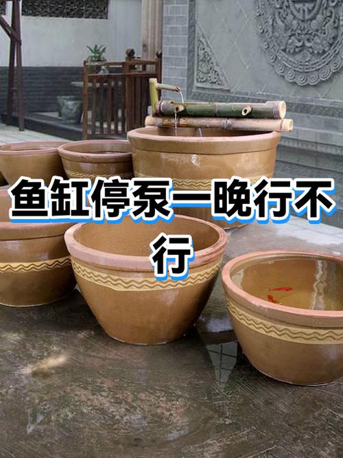 鱼缸水泵晚上能停吗