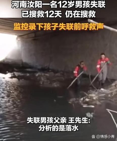 拼多多买的东西不见了怎么办