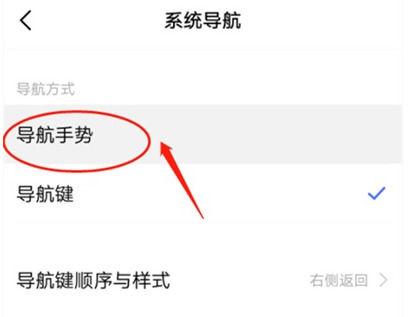 vivoz5x虚拟按键怎么设置