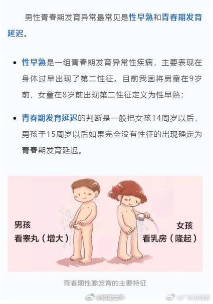男孩发育