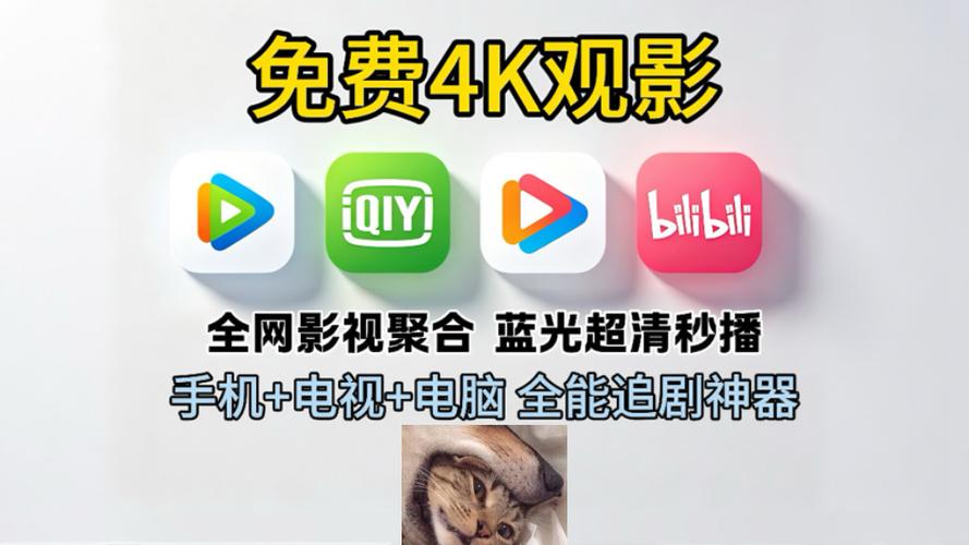 追剧4k