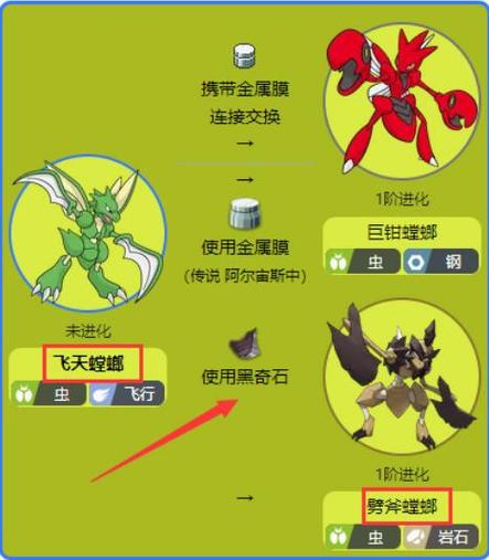 螳螂如何获得第四次进化